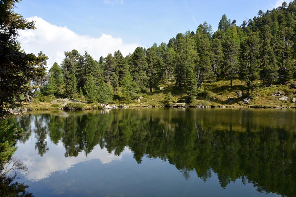 Haus Ofner Am Kreischberg Bed and Breakfast Sankt Georgen ob Murau Εξωτερικό φωτογραφία