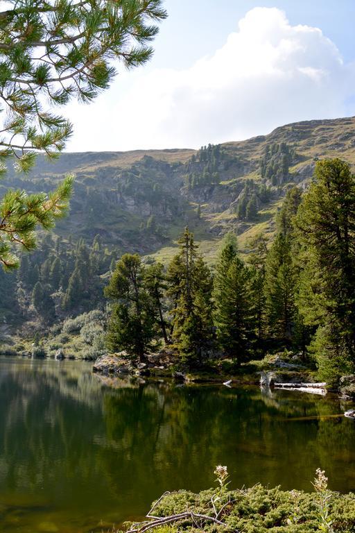 Haus Ofner Am Kreischberg Bed and Breakfast Sankt Georgen ob Murau Εξωτερικό φωτογραφία