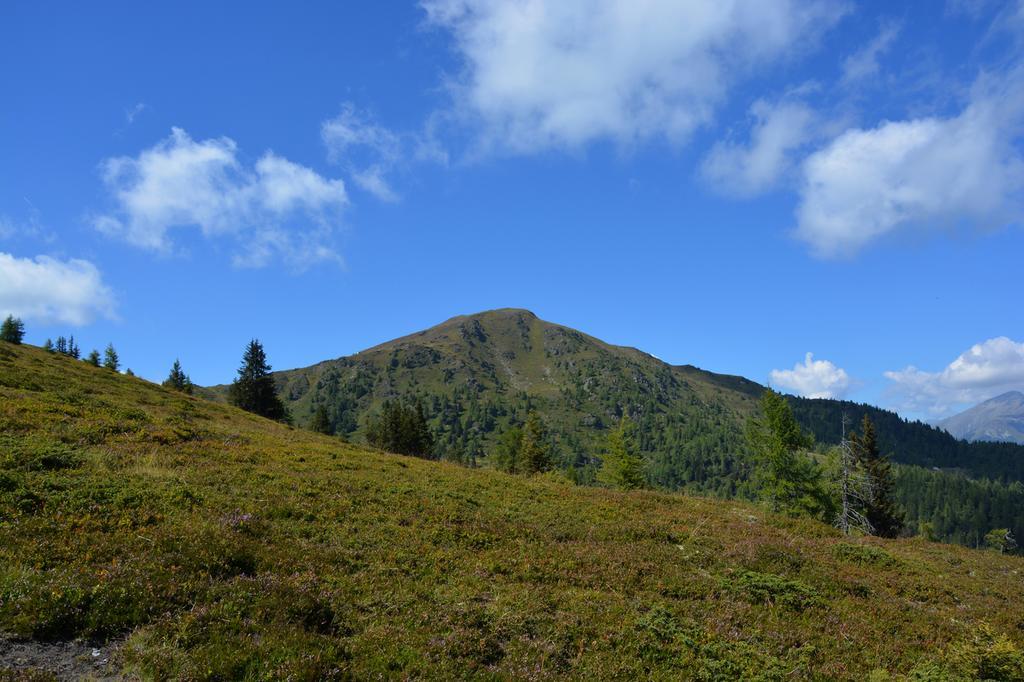 Haus Ofner Am Kreischberg Bed and Breakfast Sankt Georgen ob Murau Εξωτερικό φωτογραφία