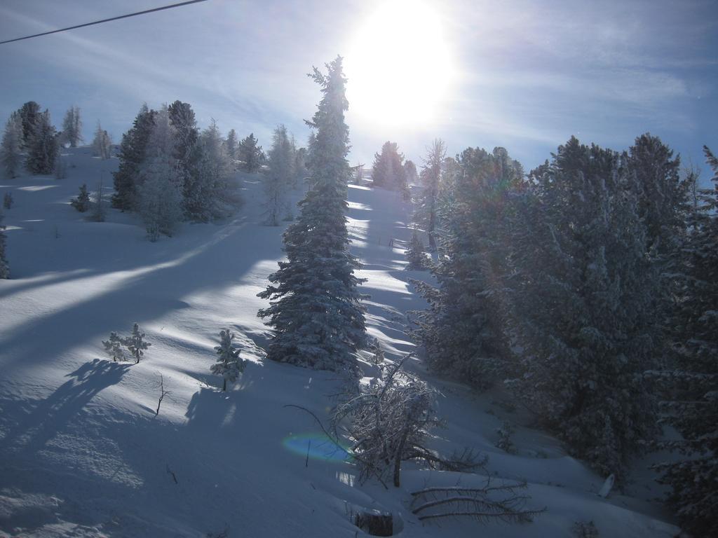 Haus Ofner Am Kreischberg Bed and Breakfast Sankt Georgen ob Murau Εξωτερικό φωτογραφία